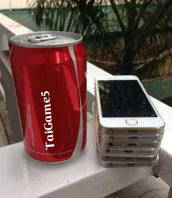 TaiGame5